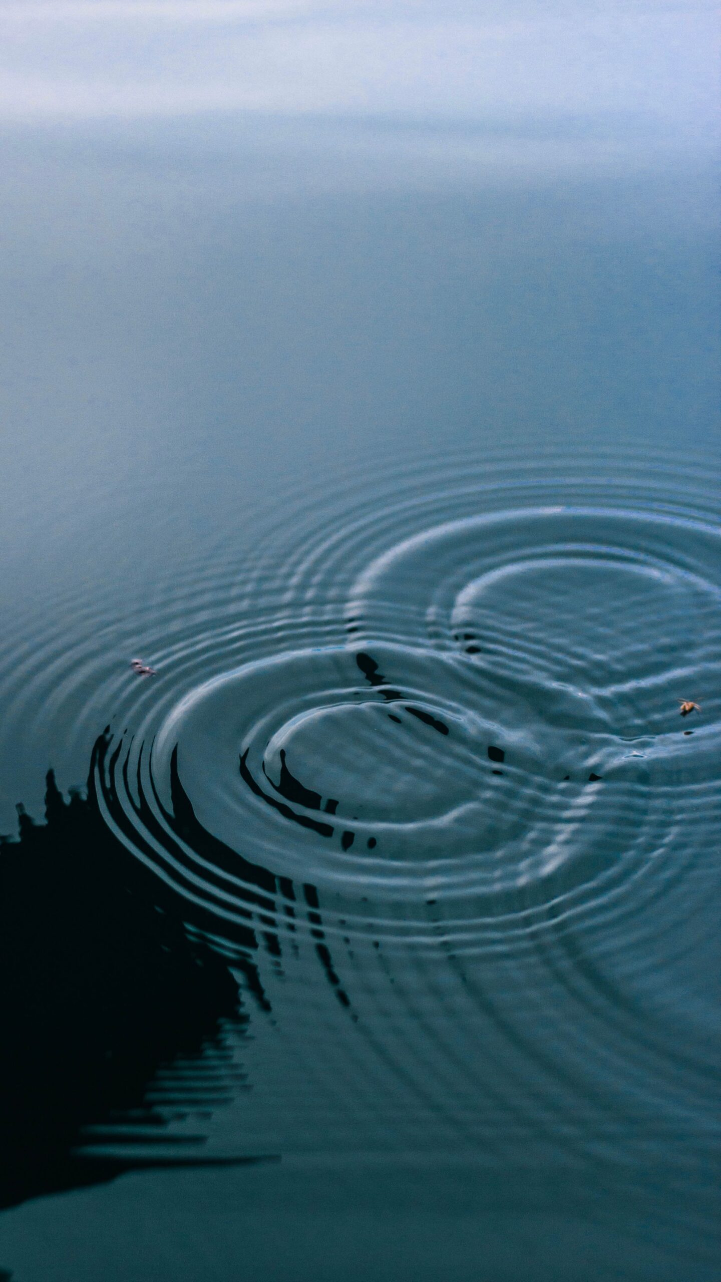 expanding rings on calm water