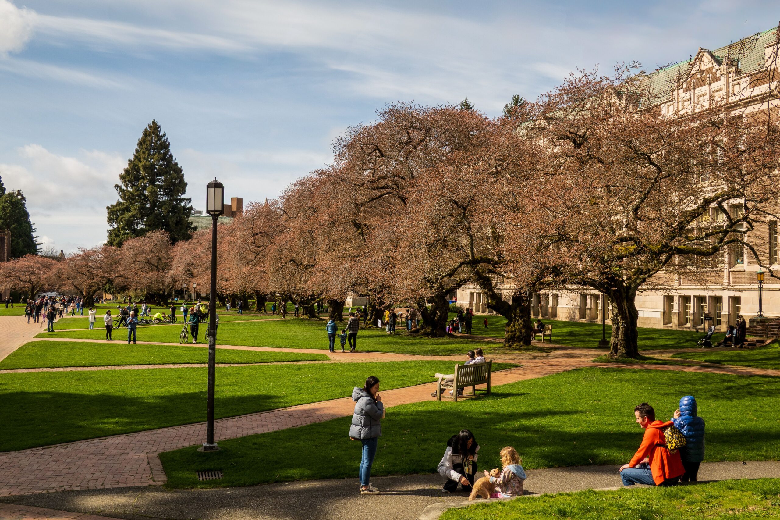campus with students walking brick paths through grass